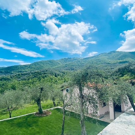 Casa Vacanze Gli Ulivi Borgomaro Extérieur photo