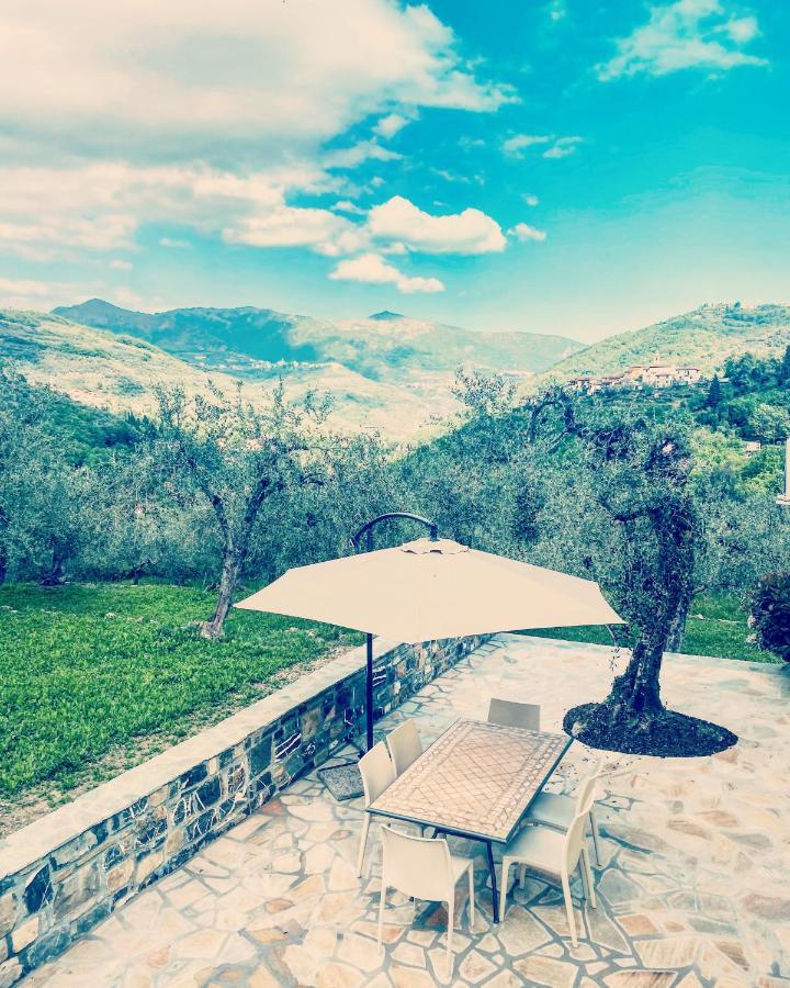 Casa Vacanze Gli Ulivi Borgomaro Extérieur photo