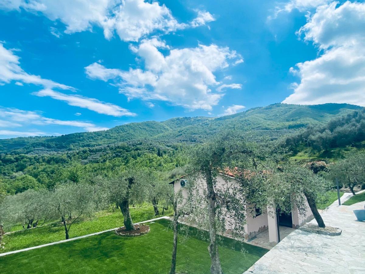 Casa Vacanze Gli Ulivi Borgomaro Extérieur photo
