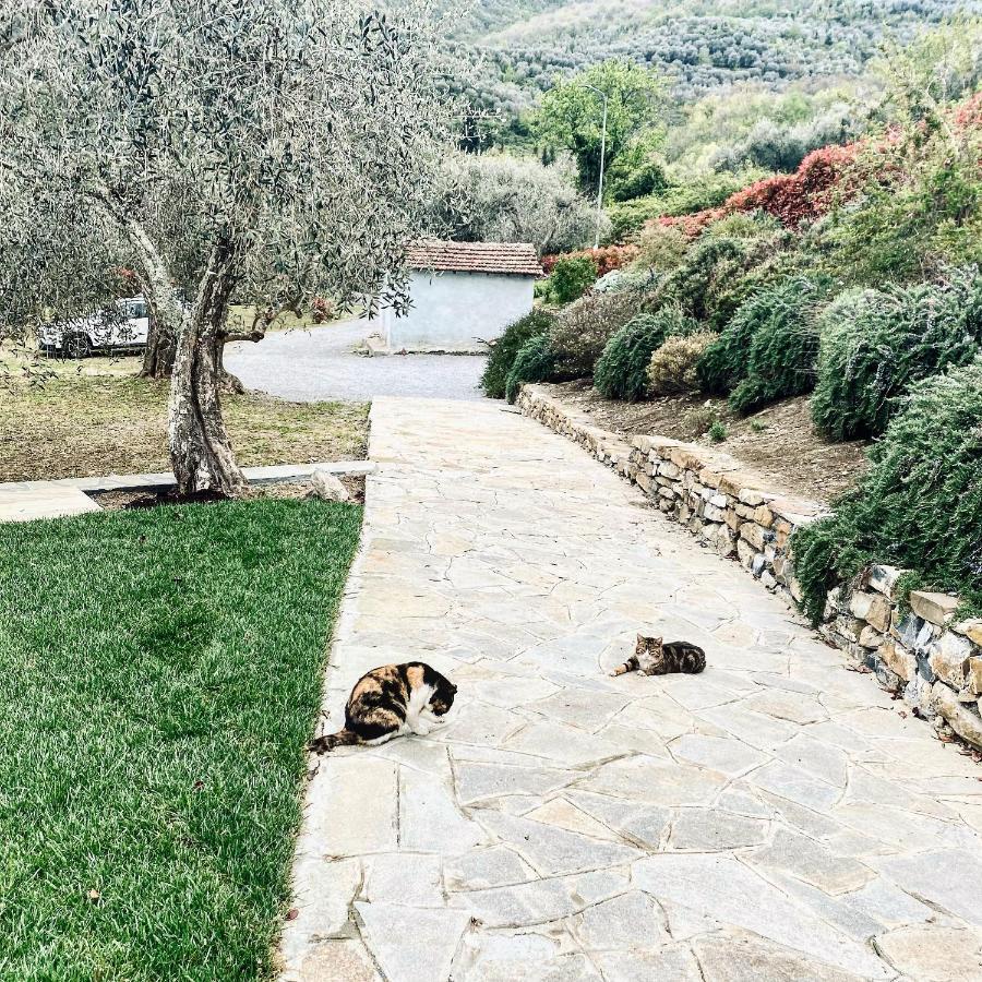 Casa Vacanze Gli Ulivi Borgomaro Extérieur photo