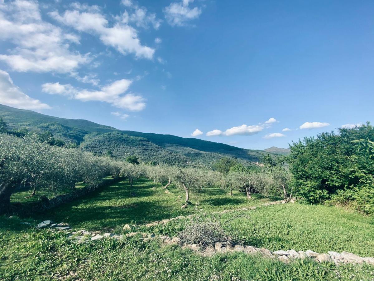Casa Vacanze Gli Ulivi Borgomaro Extérieur photo
