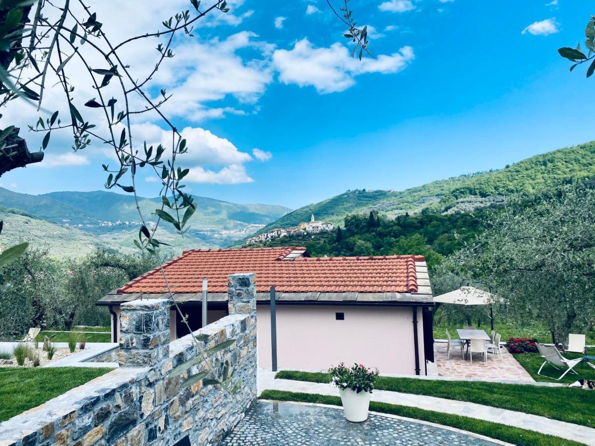 Casa Vacanze Gli Ulivi Borgomaro Extérieur photo