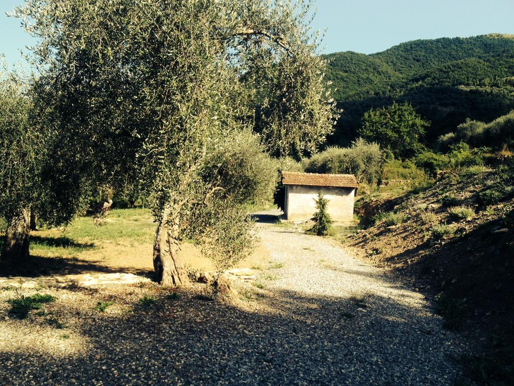 Casa Vacanze Gli Ulivi Borgomaro Chambre photo