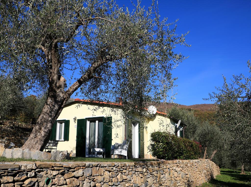Casa Vacanze Gli Ulivi Borgomaro Extérieur photo